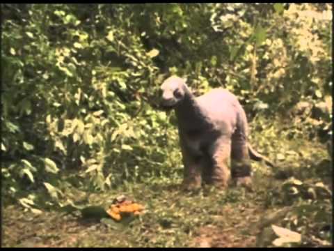 Baby: Secret of the Lost Legend'