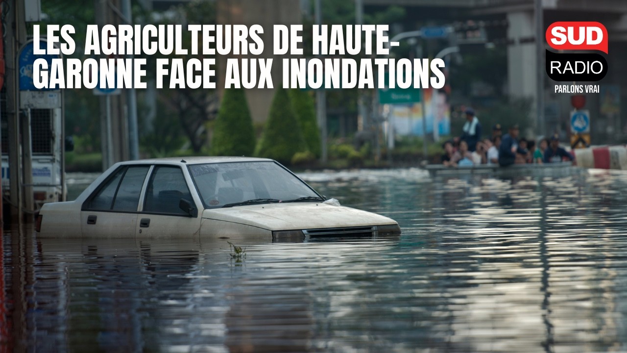 "On n'en voit pas le bout" : les agriculteurs de Haute-Garonne face aux inondations