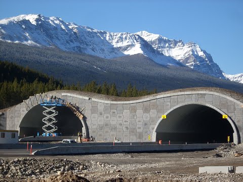 Image of Corrugated Steel Bridge and Tunnel Solutions