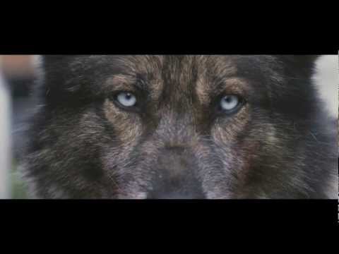 Howling'