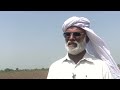 Pakistan floods batter farmers, factories and fiscal plans | REUTERS  - 02:34 min - News - Video