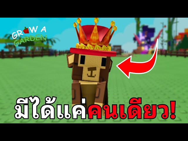 นี่คือ..สัตว์ที่หายากที่สุดในเกมตอนนี้! | รวม 12 เรื่องน่าสนใจ Grow a Garden