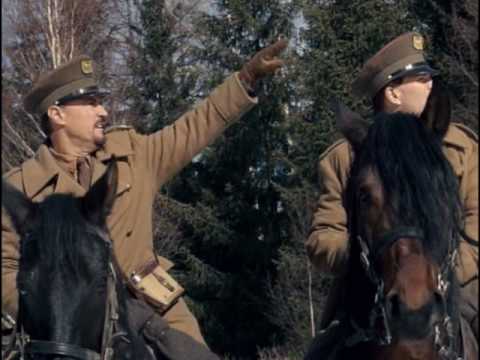 Het grote Rin Tin Tin avontuur'