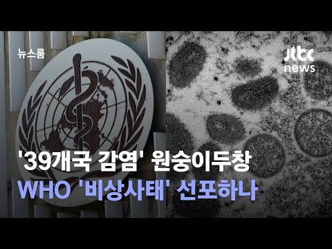 '39개국 감염' 원숭이두창…WHO '비상사태' 선포하나  / JTBC 뉴스룸