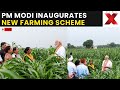 LIVE: PM Modi Launches PM Dhan-Dhaanya Krishi Yojana for 1.7 Crore Farmers | NewsX