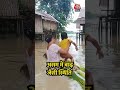 Assam में मूसलाधार बारिश के बाद Lakhimpur के Ghunasuti इलाके में बाढ़ जैसी स्थिति  #shorts #assam  - 01:11 min - News - Video