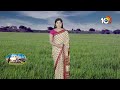 Prevention of Stem Borer in Rice | వరిలో కాండం తొలుచు పురుగుల నివారణ | Matti Manishi | 10TV News - 05:03 min - News - Video