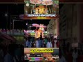 సుందరరాజస్వామి అవతార మహోత్సవాలు || తిరుచానూరు || SVBC TTD