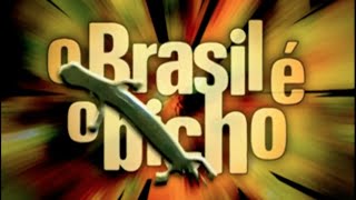 O Brasil é o Bicho! | Dener Giovanini