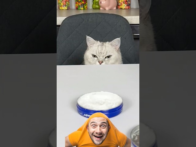 بسبوس الذكي 😂