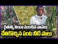Crops Damaged  In Many District Due To Unseasonal Rains | V6 News