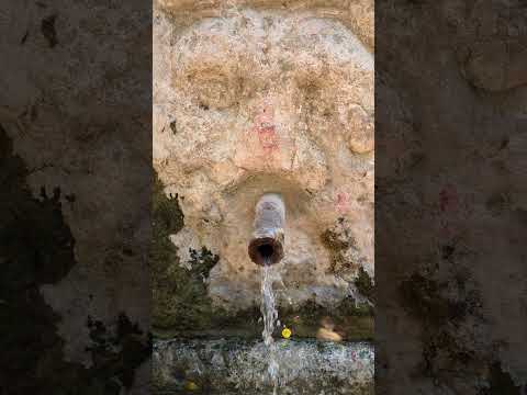 Font de l'Estany
