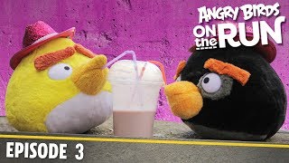 Angry Birds- Na tku - 3 - Mal ralok