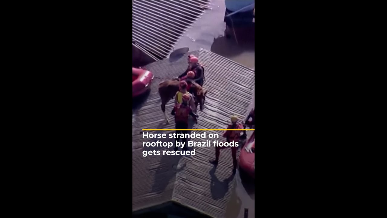 Horse stranded on rooftop by Brazil floods gets rescued | AJ #shorts