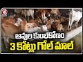 Cow Scam In Animal Husbandry Dept : Officials Transfered Govt Money Into Binami Accounts | V6 News