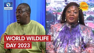 World Wildlife Day 2023: Focus On Protecting Endangered Species