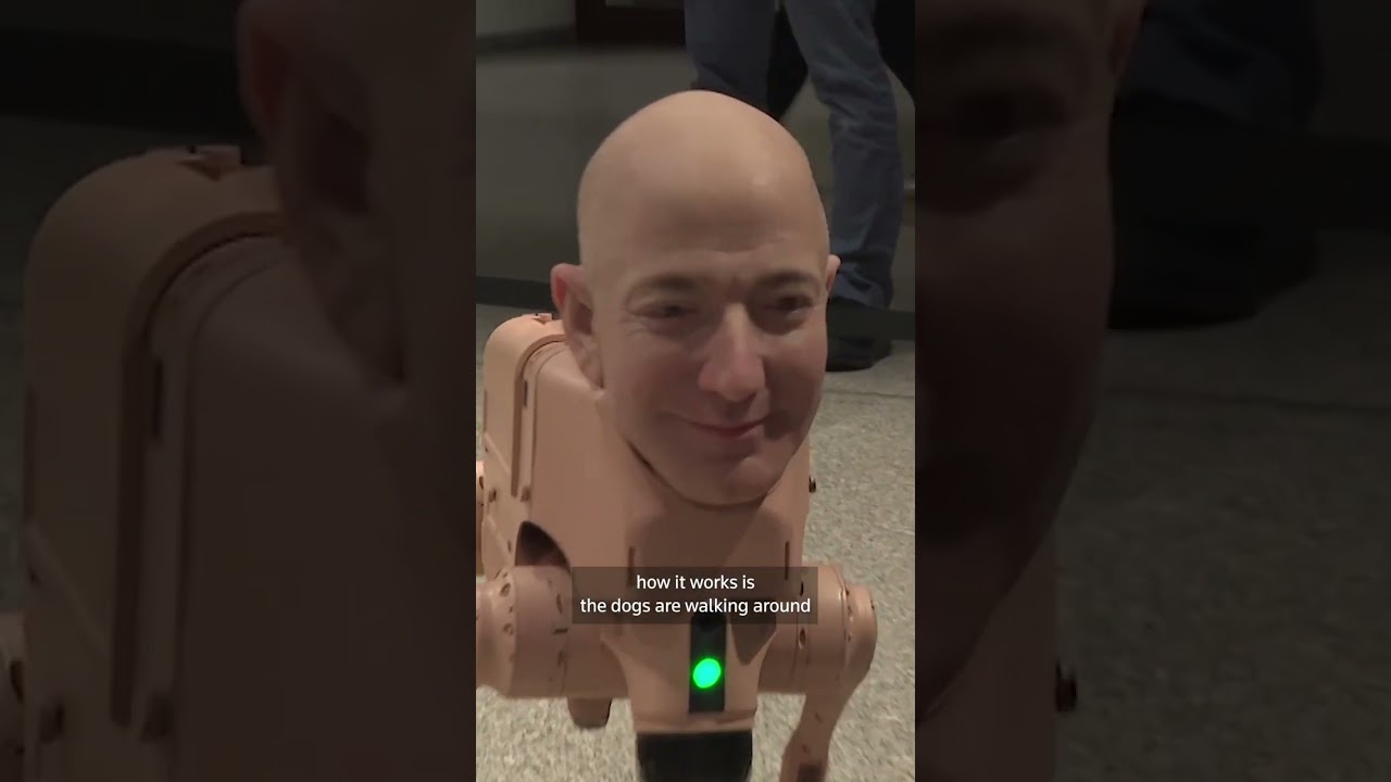 Robot dogs with tech boss faces roam Berlin art exhibit