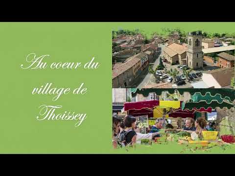 Property video