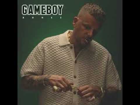 Du Trottel ! - Bonez MC (Gziking version)