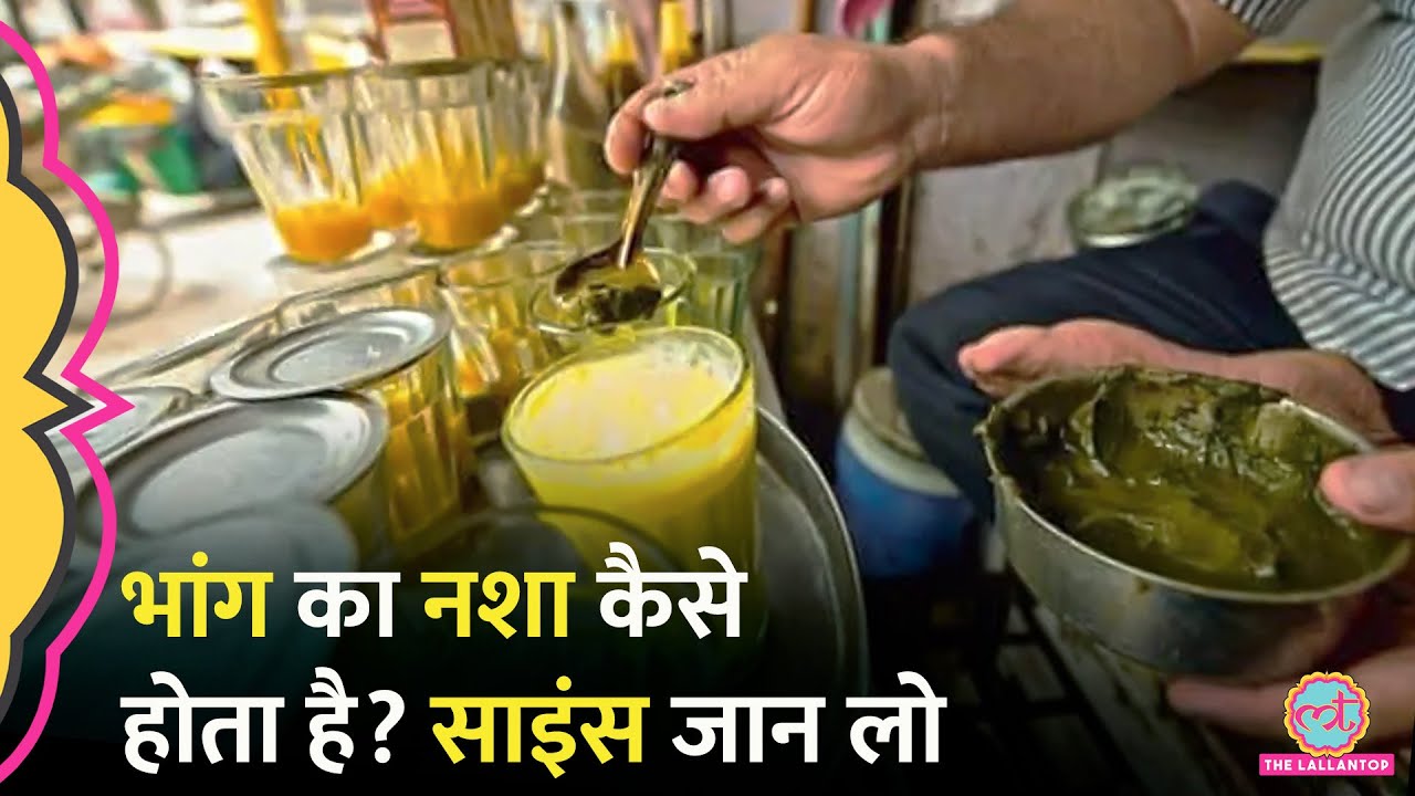 Holi पर भांग के सेवन से पहले उसका दिमाग में असर और नशे का Science समझ लीजिए | Cannabis | Bhaang