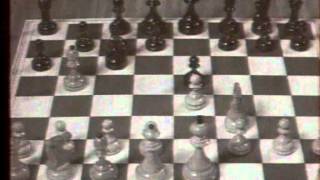 Загадки шахматных королей