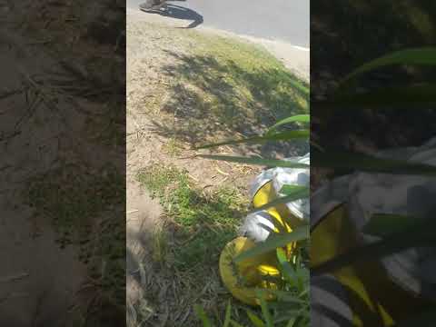 Vidéo de l’hébergement