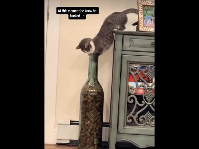 At this moment he knew