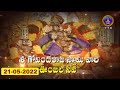 Sri Govindarajaswamy Vari Unjal Seva || Tirupathi || 21-05-2022 || SVBC TTD