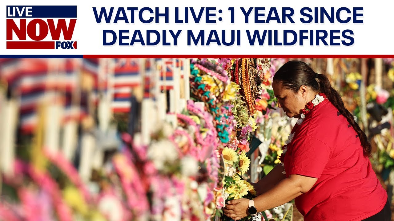 WATCH LIVE: Anniversary of Maui wildfires, Trump campaign holds conference & more | LiveNOW from FOX