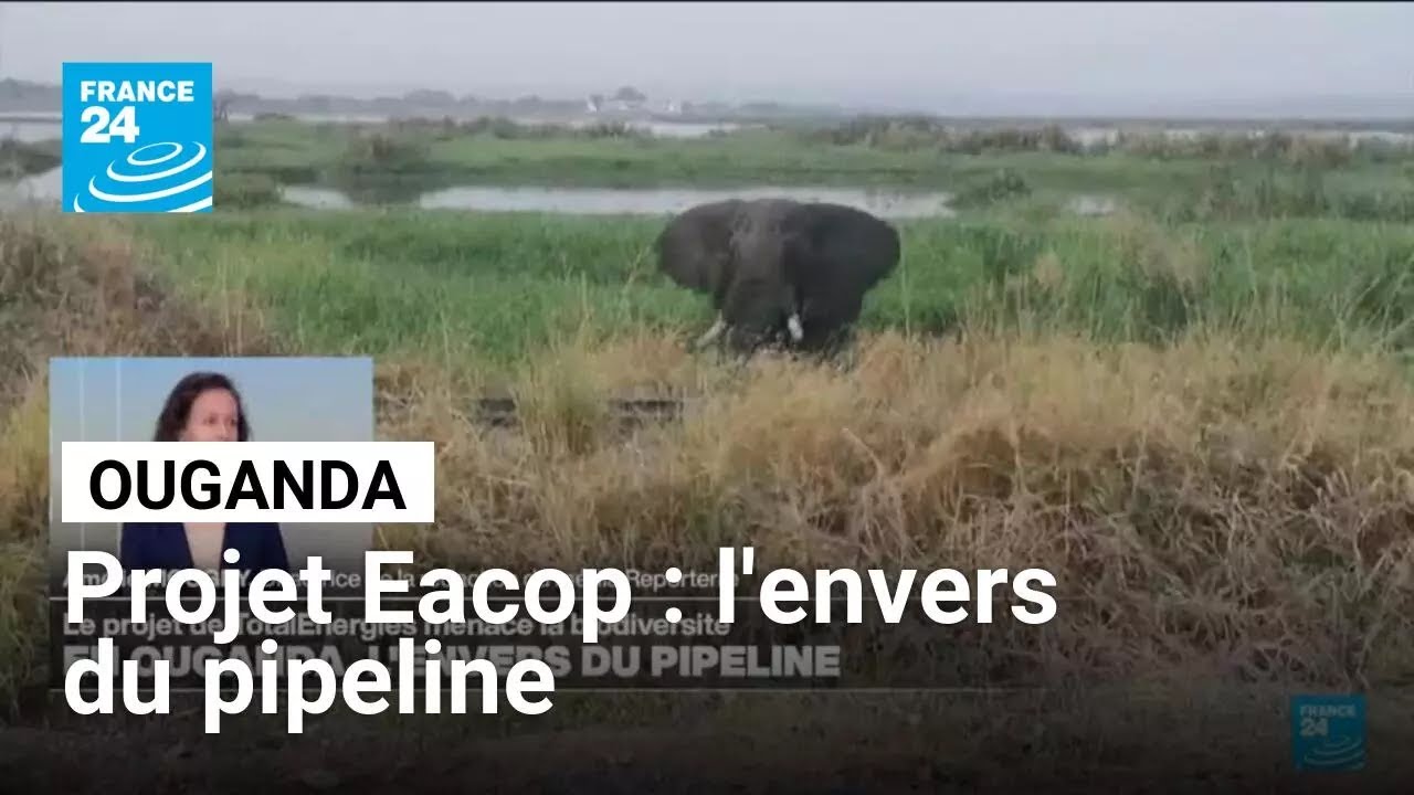 Total en Ouganda : l'envers du pipeline • FRANCE 24