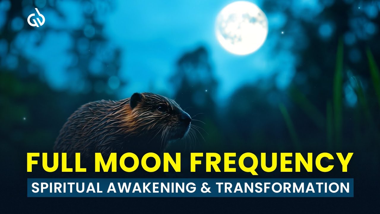 Full Moon Meditation Music (Beaver Moon): Binaural Beats for Spiritual Awakening & Transformation