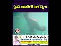 హైదరాబాద్ లో జలకన్యలు | Jalakanya In Hyderabad | Marine Park Exhibition | V6 Shorts  - 00:58 min - News - Video