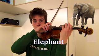 Animal sounds on violin