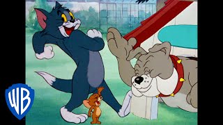 Tom a Jerry - Večerní zábava