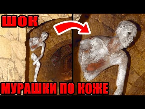 
НЕЛЬЗЯ ПОКАЗЫВАТЬ ДЕТЯМ!!! 09.09.2025!!! ЭТО НЕ ЛЮДИ!!!
