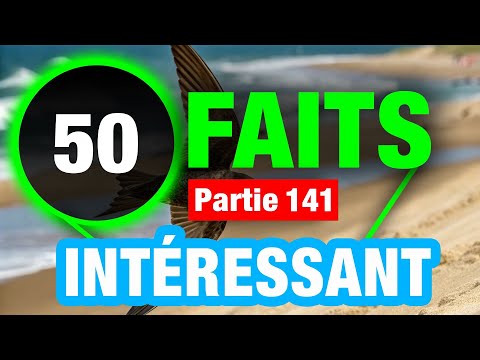 50 Faits Magnifiques