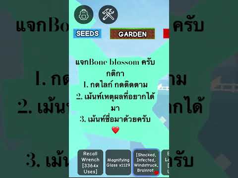 แจกครับ Bone blossoms #roblox #แจก #ฟีดเถอะ #growagarden #กดไลก์ #กดติดตาม
