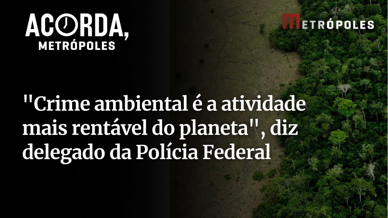 “Crime ambiental é a atividade mais rentável do planeta”, diz delegado da Polícia Federal