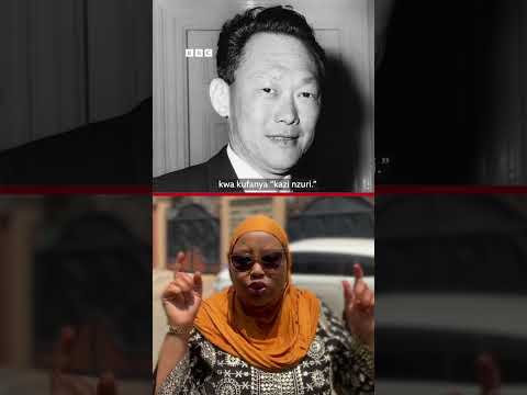 Kutoka 'Hustler Nation' hadi Singapore ya Afrika ni ndoto au siasa za Kenya?