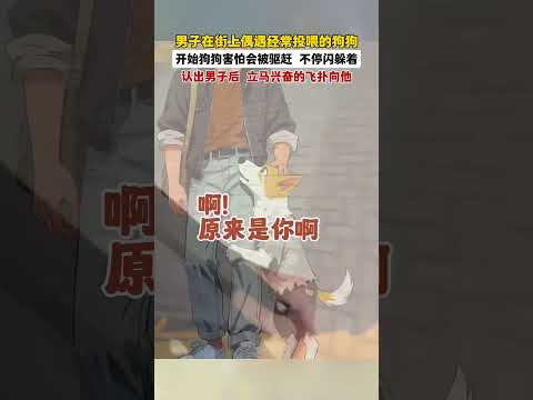 万物皆有灵,狗狗的世界很小,小到只装得下喂过它的你。#画一个故事 #治愈系 #狗狗的心思都写在脸上了 #万物皆有灵性 #画画