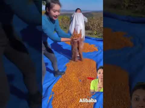 Ela foi trolada😁 #satisfying #food #kindnessiscool #spiderman #dublagemdeboche #maquiagem #funny