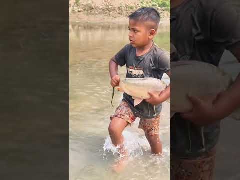 Amazing Boy Catching Fish By Hand #fishing