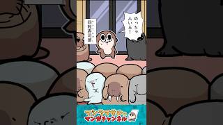 【マシラの絵日記】GWの思い出(3/3) #日常 #shorts