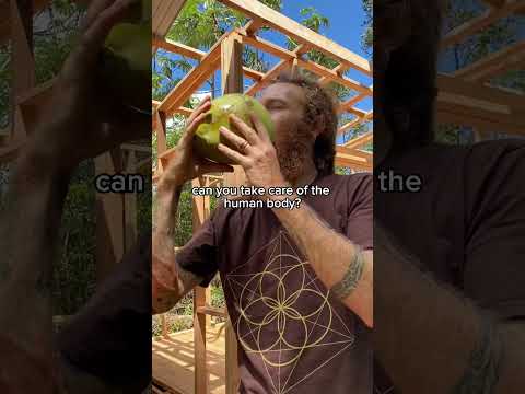 Finding Purpose Off the Grid #offgridhome #ecofriendlyliving #offgridlifestyle