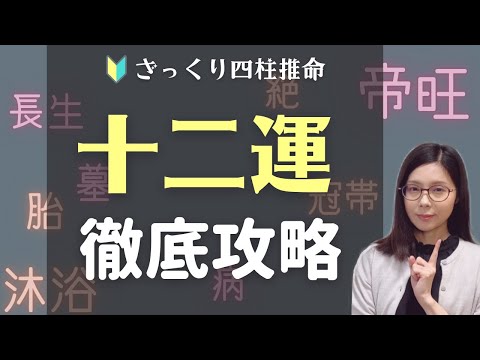 十二運を徹底攻略【ざっくり四柱推命】