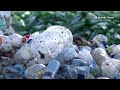 Plastics treaty talks yield chaos, says Greenpeace  - 01:58 min - News - Video