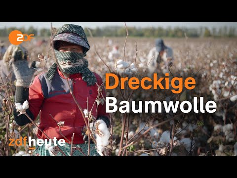 Ausbeutung und Umweltzerstörung bei der Baumwollproduktion in Usbekistan | ZDFzoom