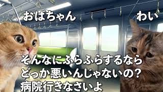 【猫ミーム】激動の連勤終わりのルーティンーそしてまた働く編ー #vtuber  #医師解説 #catvtuber ＃猫ミーム