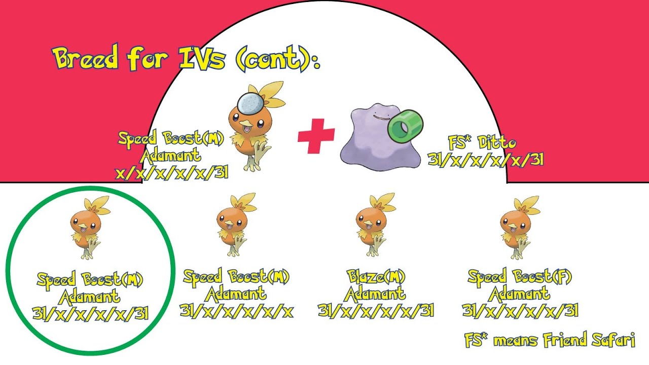 Gen 6 X Y Pokémon Iv Breeding Guide With Pictures Youtube