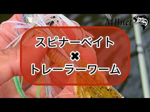 スピナーベイトに装着するトレーラーワーム  〜みんなのバス釣りネット〜